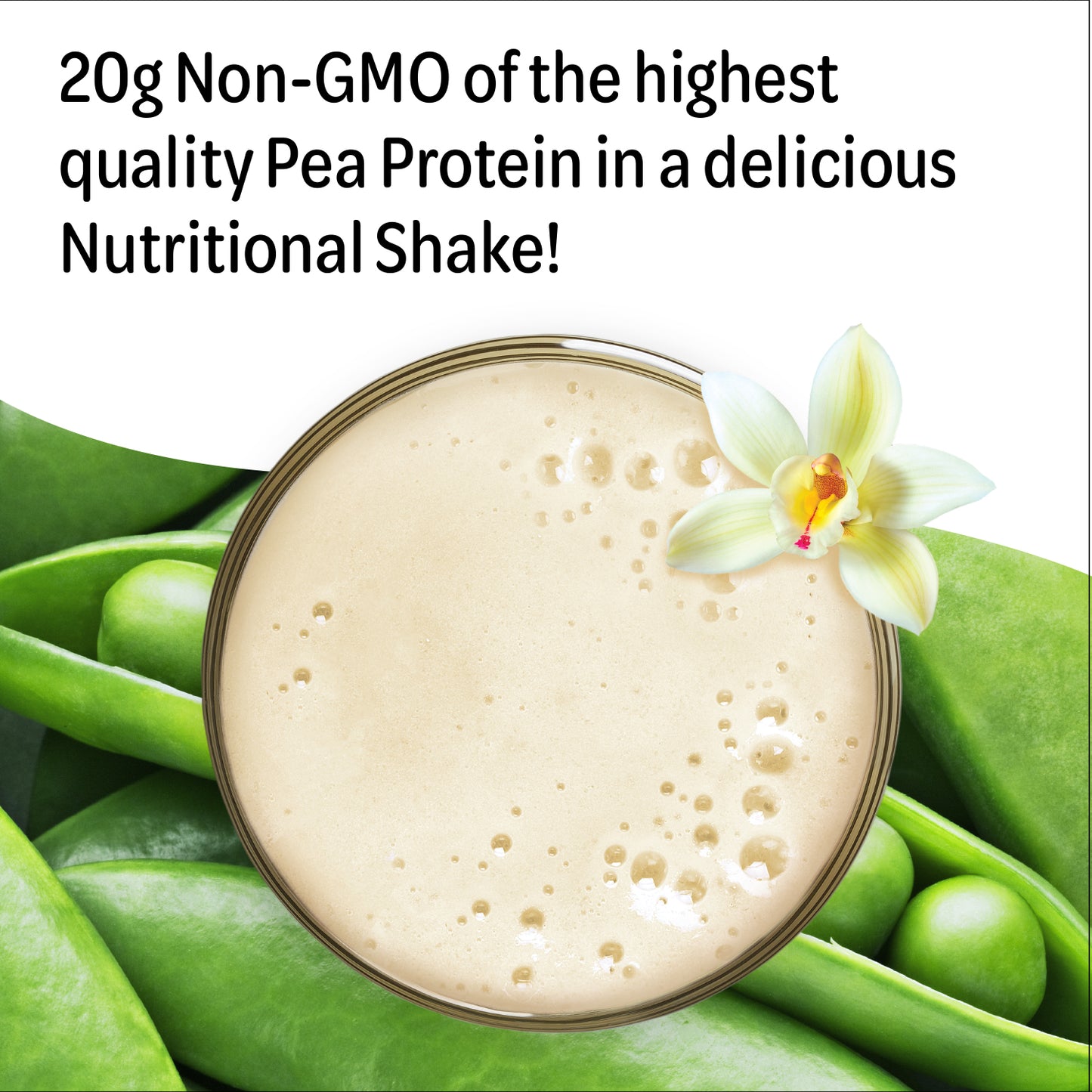 Plant-Based Protein Nutritional Shake - Vanilla (15 Servings)