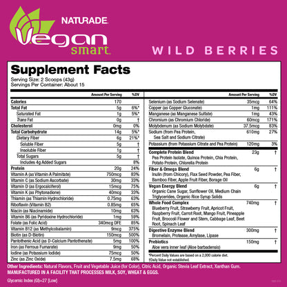 VeganSmart All-In-One Nutritional Shake - Wild Berries (15 Servings)